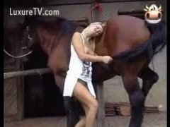 An amazing newbie with blond beastiality blowing and kissing a horse